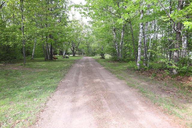 5004 W Rd, Silver Twp, MN 55767 - view of street with a forest view
