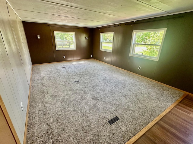 15373 Shawn St, Rocksbury Twp, MN 56701 - carpeted spare room with wood walls and baseboards