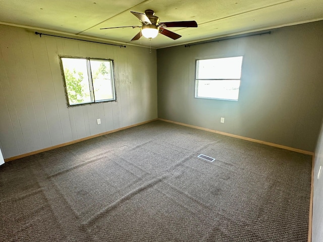 15373 Shawn St, Rocksbury Twp, MN 56701 - carpeted spare room featuring plenty of natural light, a ceiling fan, and baseboards