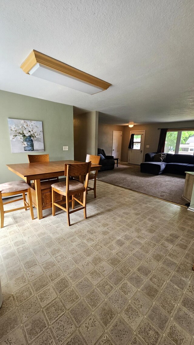 1309 Elm Ave N, Wheaton, MN 56296 - dining area with a textured ceiling and baseboards