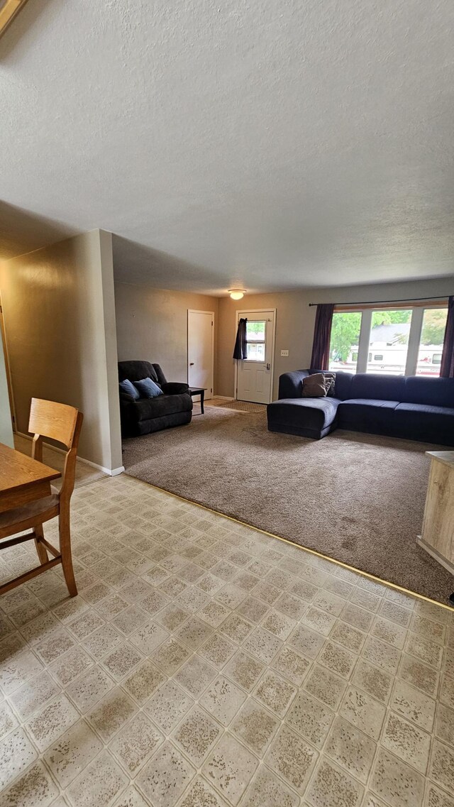 1309 Elm Ave N, Wheaton, MN 56296 - living area with a textured ceiling, carpet floors, and baseboards