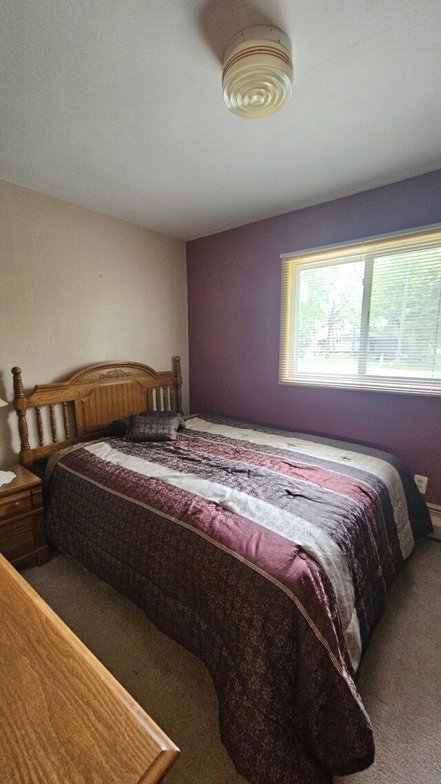 1309 Elm Ave N, Wheaton, MN 56296 - bedroom featuring carpet floors
