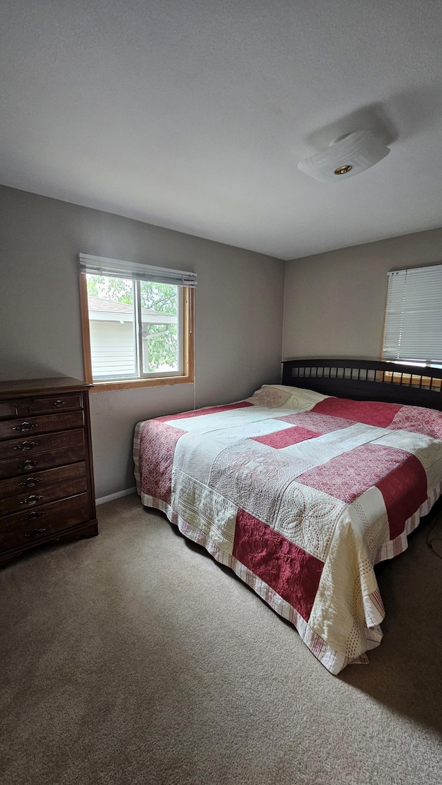 1309 Elm Ave N, Wheaton, MN 56296 - view of carpeted bedroom