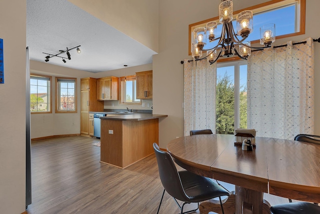 900 Isabella Ave, Clearwater, MN 55320 - dining room featuring a chandelier, light wood-style floors, baseboards, rail lighting, and a textured ceiling