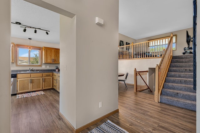 900 Isabella Ave, Clearwater, MN 55320 - kitchen featuring dark wood finished floors, rail lighting, dishwasher, and baseboards