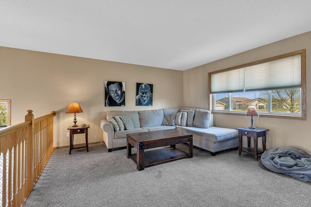 900 Isabella Ave, Clearwater, MN 55320 - living area with carpet floors and baseboards