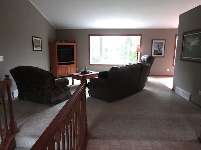 180 Bordson St, Appleton, MN 56208 - living room with light carpet and vaulted ceiling