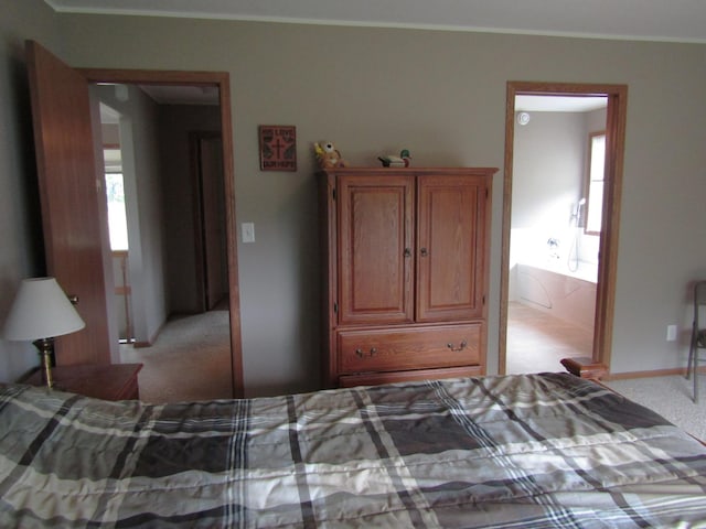 180 Bordson St, Appleton, MN 56208 - bedroom featuring carpet floors, multiple windows, connected bathroom, baseboards, and ornamental molding