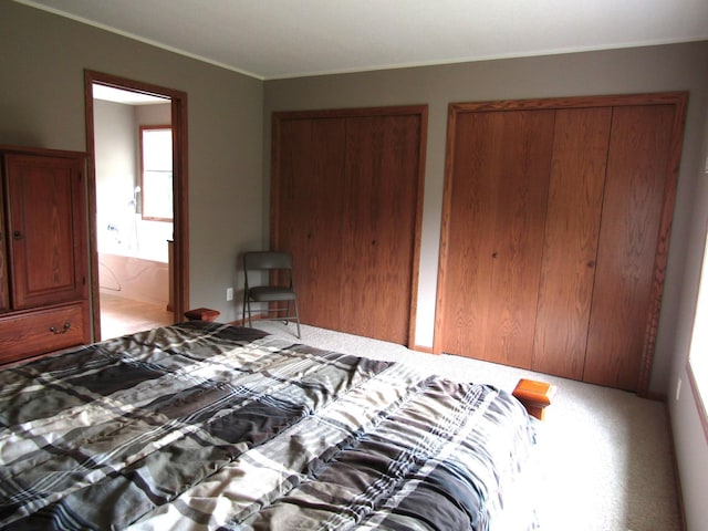 180 Bordson St, Appleton, MN 56208 - bedroom featuring multiple closets, crown molding, light carpet, and connected bathroom