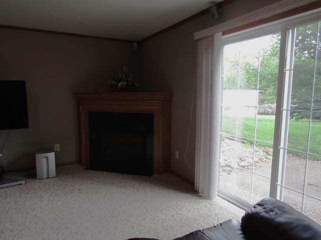 180 Bordson St, Appleton, MN 56208 - carpeted living area featuring a fireplace with flush hearth
