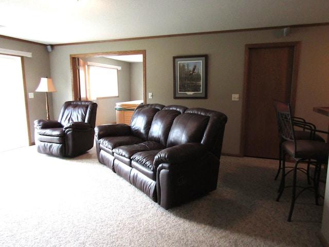 180 Bordson St, Appleton, MN 56208 - view of carpeted living room