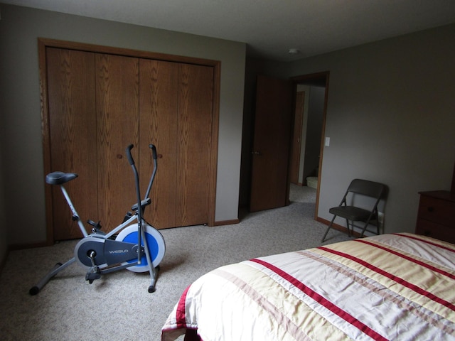 180 Bordson St, Appleton, MN 56208 - carpeted bedroom featuring a closet and baseboards