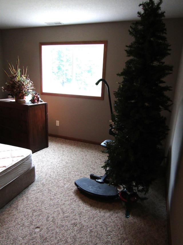180 Bordson St, Appleton, MN 56208 - bedroom featuring carpet floors