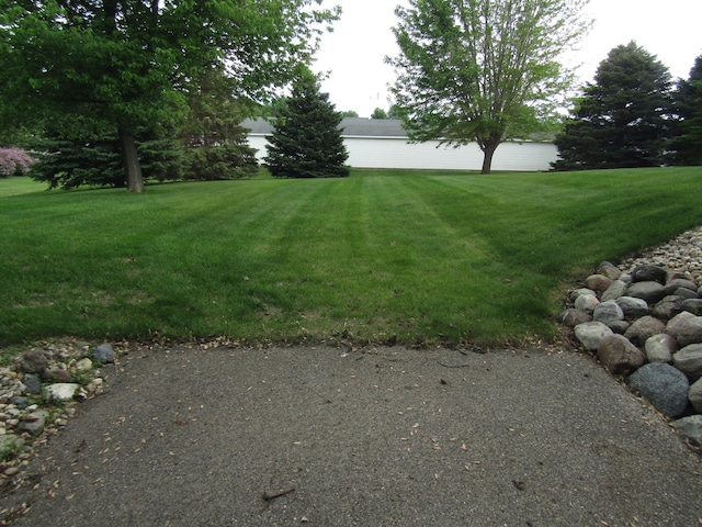 180 Bordson St, Appleton, MN 56208 - view of green lawn