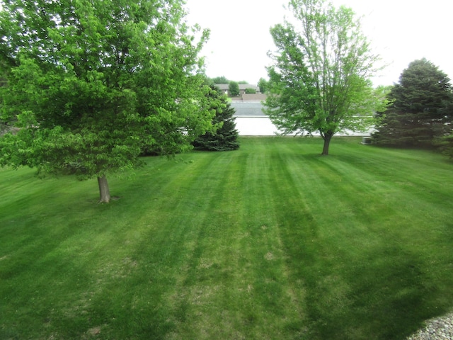 180 Bordson St, Appleton, MN 56208 - view of grassy yard