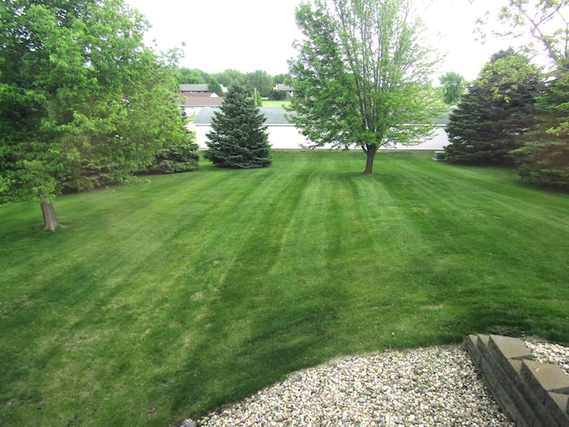 180 Bordson St, Appleton, MN 56208 - view of green lawn