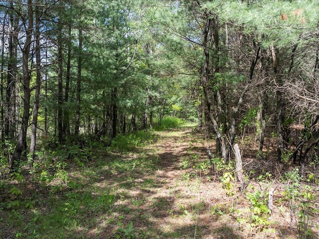 TBD 320th St, Browerville, MN 56438