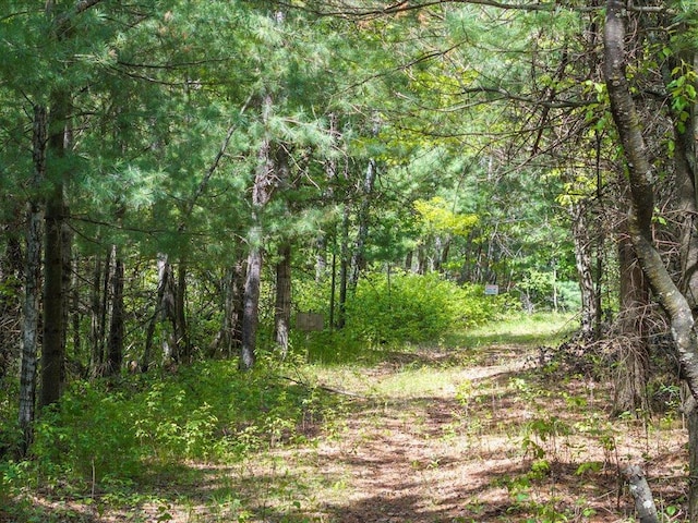 TBD 320th St, Browerville, MN 56438