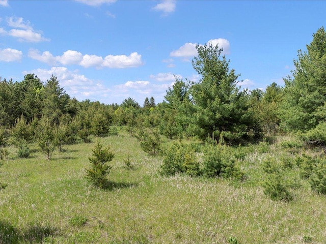 TBD 320th St, Browerville, MN 56438
