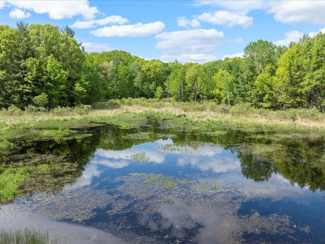 TBD 320th St, Browerville, MN 56438