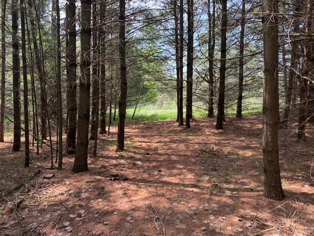 TBD 320th St, Browerville, MN 56438