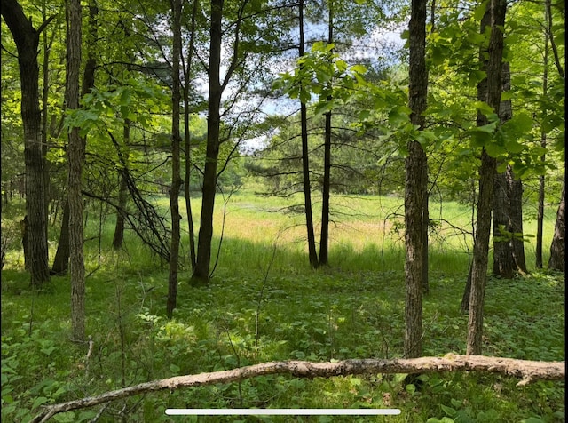 TBD 320th St, Browerville, MN 56438