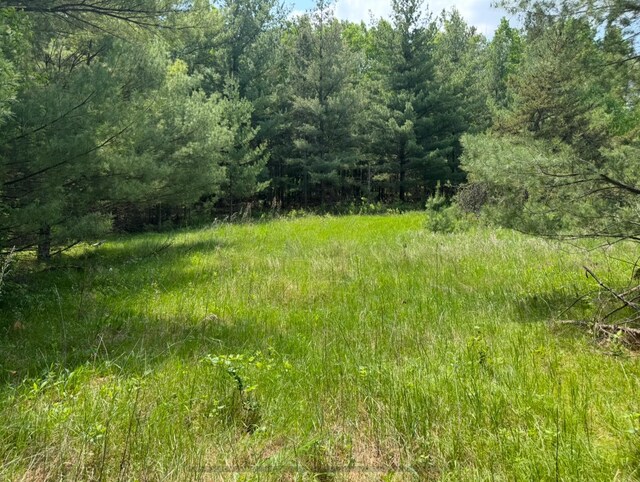 TBD 320th St, Browerville, MN 56438