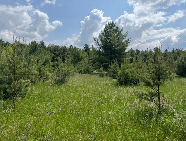 TBD 320th St, Browerville, MN 56438