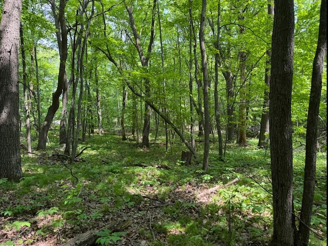 TBD 320th St, Browerville, MN 56438