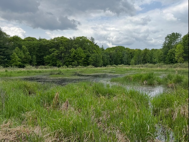 TBD 320th St, Browerville, MN 56438