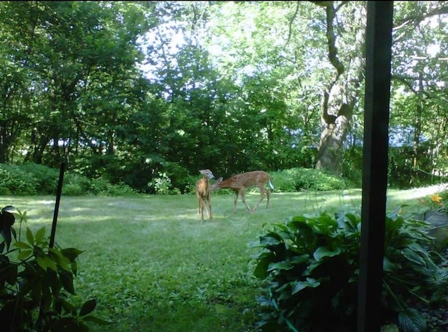 N7775 920th St, River Falls, WI 54022 - photo 30