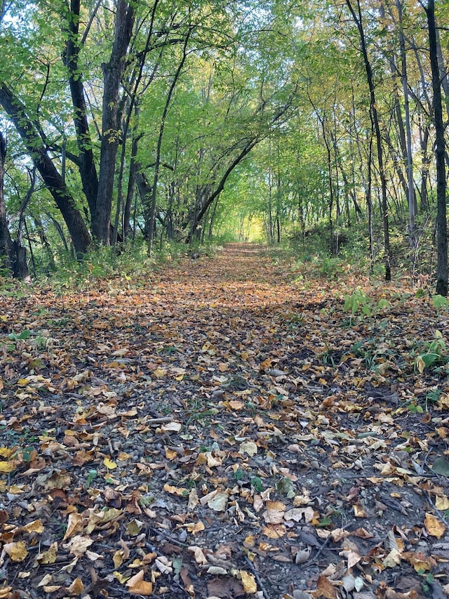 N7775 920th St, River Falls, WI 54022 - photo 31