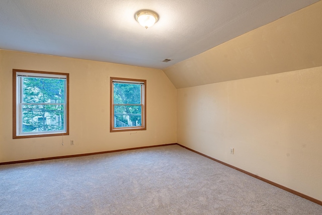 475 Minnehaha Ave E, Saint Paul, MN 55130 - additional living space with carpet flooring, healthy amount of natural light, vaulted ceiling, and baseboards