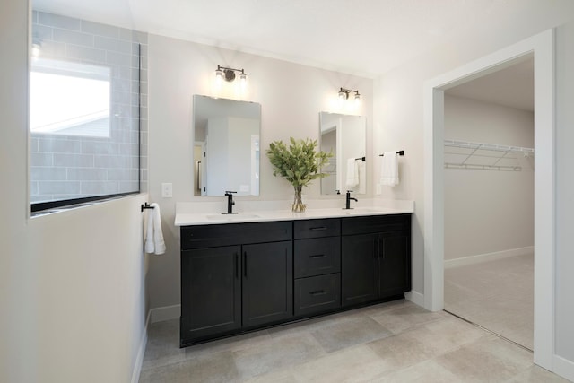 14705 105th Pl N, Maple Grove, MN 55369 - full bathroom with double vanity, baseboards, and a walk in closet
