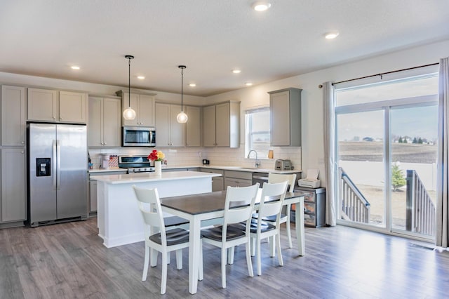 830 Foxglove Ter, Waconia, MN 55387 - kitchen with appliances with stainless steel finishes, gray cabinetry, wood finished floors, plenty of natural light, and recessed lighting