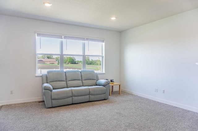 830 Foxglove Ter, Waconia, MN 55387 - carpeted living area with plenty of natural light, baseboards, and recessed lighting