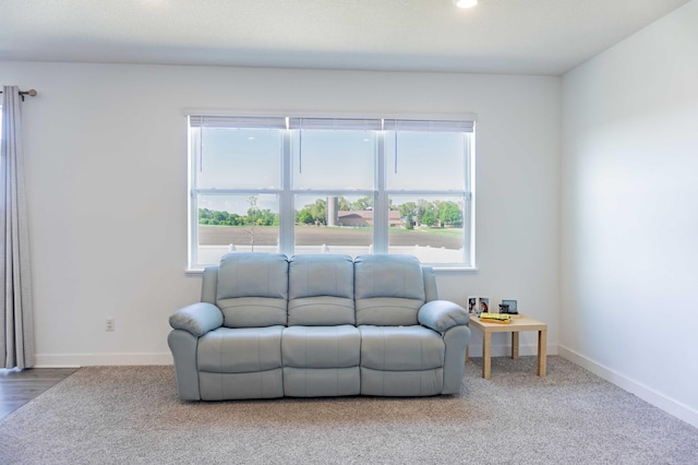 830 Foxglove Ter, Waconia, MN 55387 - carpeted living area with baseboards and recessed lighting