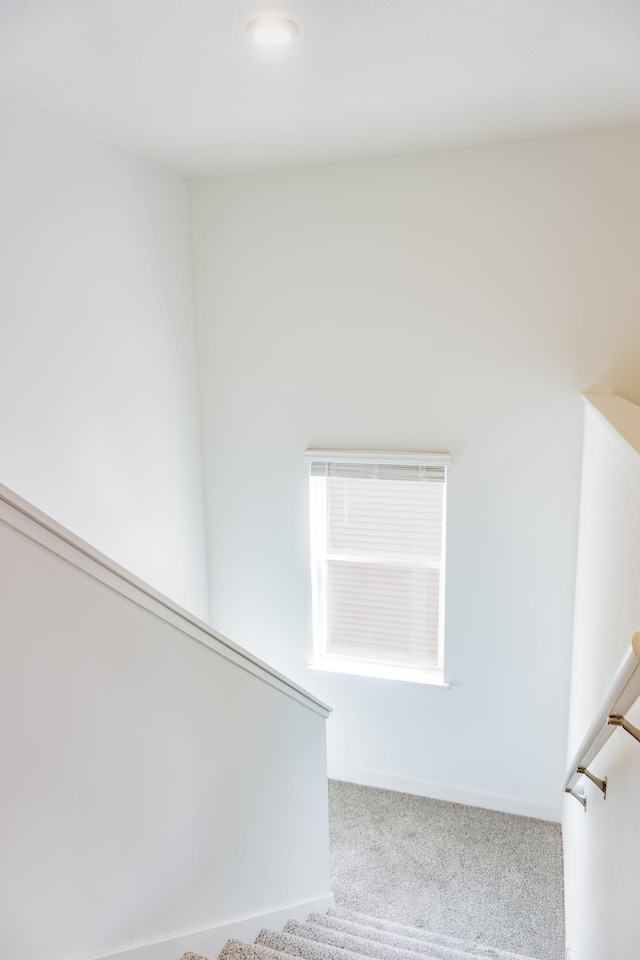 830 Foxglove Ter, Waconia, MN 55387 - stairway featuring carpet floors