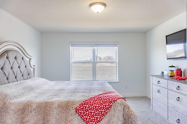 830 Foxglove Ter, Waconia, MN 55387 - bedroom with light colored carpet, a textured ceiling, and baseboards