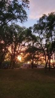 19146 Eaglewood Rd, Lynden Twp, MN 55320 - view of grassy yard