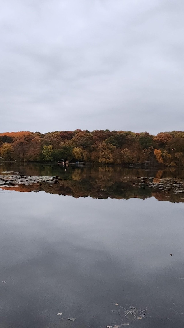 19146 Eaglewood Rd, Lynden Twp, MN 55320 - water view featuring a forest