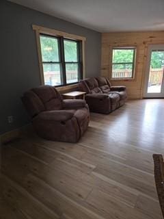 19146 Eaglewood Rd, Lynden Twp, MN 55320 - living room featuring wood finished floors