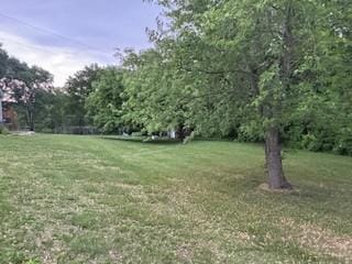 19146 Eaglewood Rd, Lynden Twp, MN 55320 - view of grassy yard