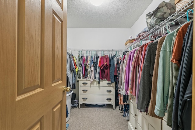 803 Willow Glen Ct, Buffalo, MN 55313 - spacious closet with carpet flooring