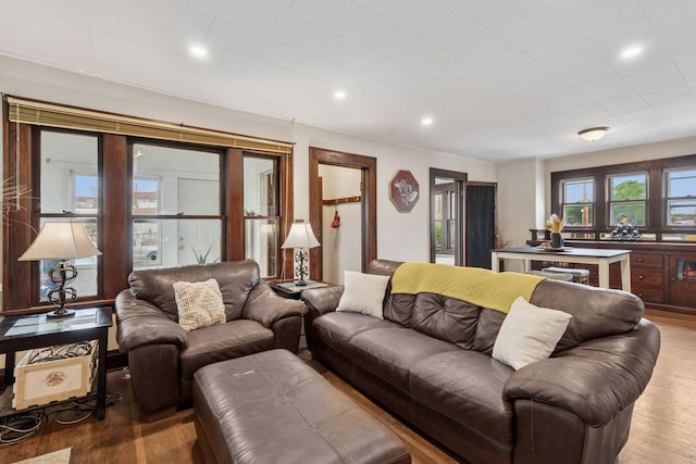 1104 21st Ave SE, Minneapolis, MN 55414 - living room with light wood-style flooring and recessed lighting