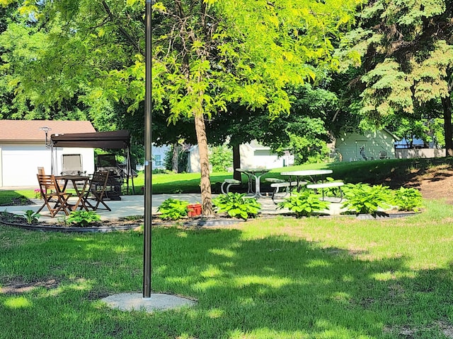 520 5th St SW Unit 318, Willmar, MN 56201 - view of grassy yard with a patio area