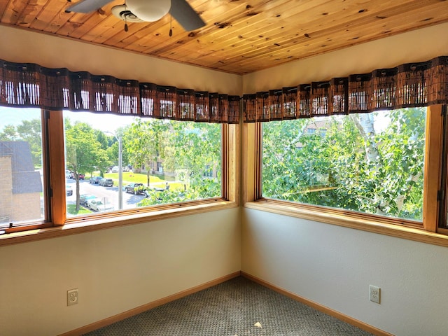520 5th St SW Unit 318, Willmar, MN 56201 - unfurnished sunroom with plenty of natural light