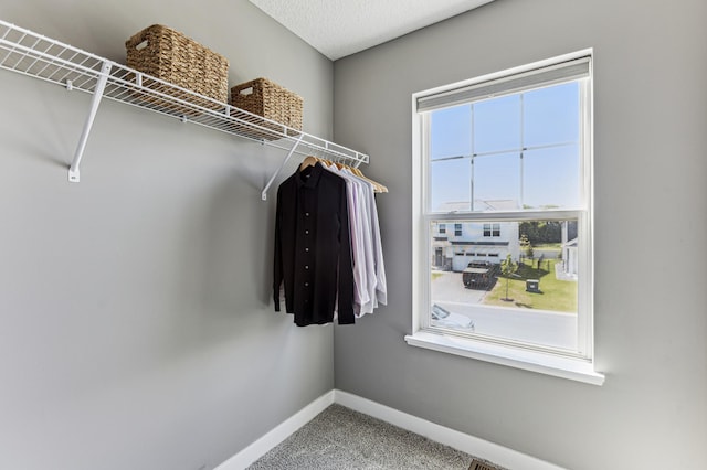 12719 Erskin St NE, Blaine, MN 55449 - walk in closet with carpet
