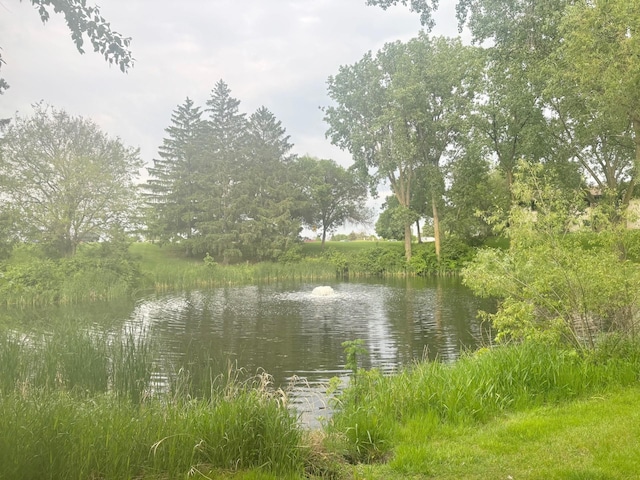 1566 Millpond Ct, Chaska, MN 55318 - photo 2
