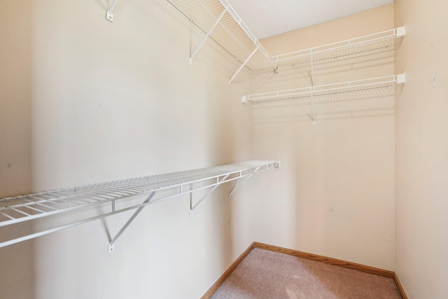1504 Monarch St, Shakopee, MN 55379 - walk in closet featuring carpet floors